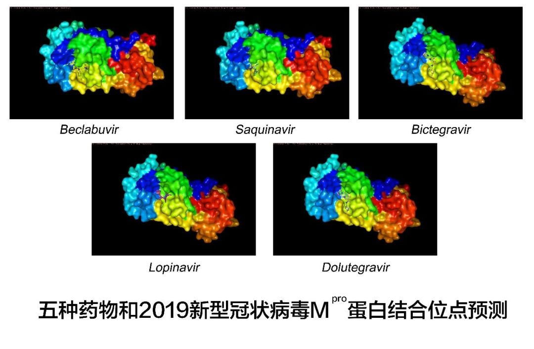 除了李蘭娟團(tuán)隊(duì)成果 武漢還有好消息：5種藥物可能有效